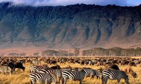 4 Days Lake Manyara, Serengeti & Ngorongoro Safari